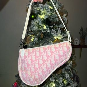 Christian Dior Mini Saddle